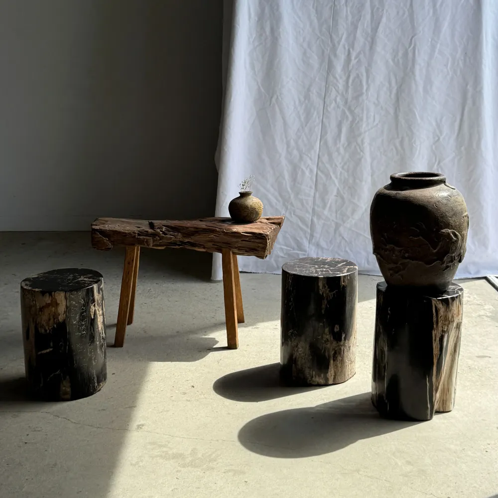 Coffee tables - Side table in black petrified wood with beige stripes fine network H35 - OFFICE OBJETS