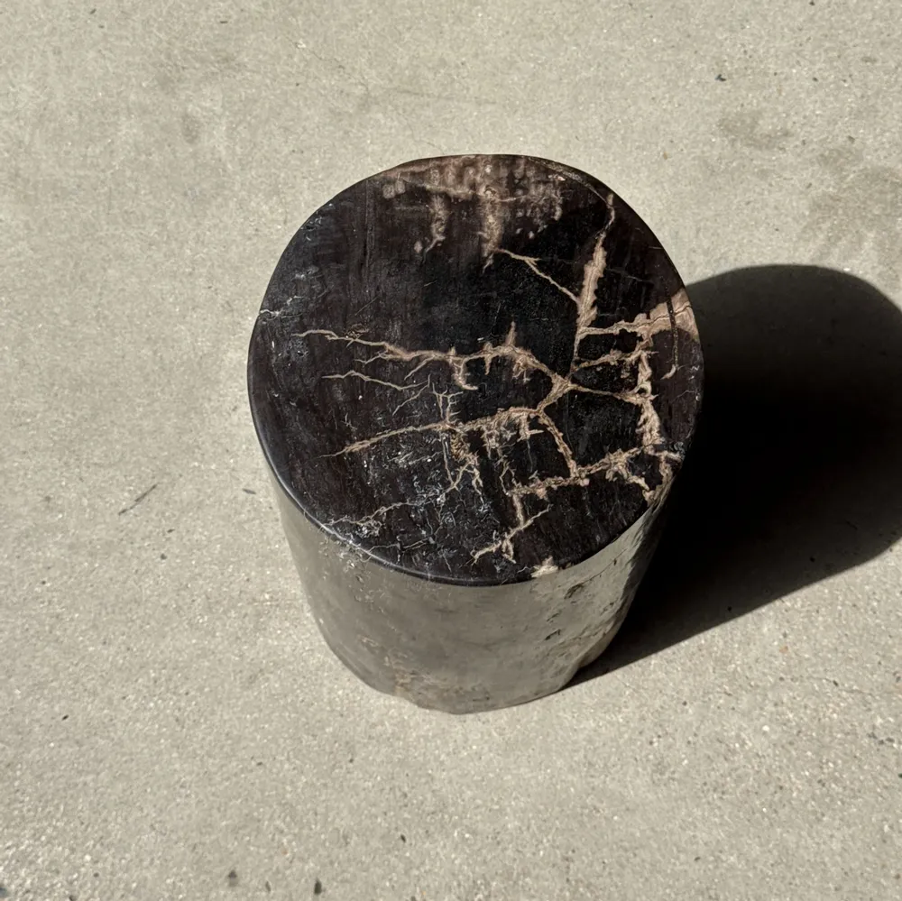Coffee tables - Side table in black petrified wood with beige stripes fine network H35 - OFFICE OBJETS