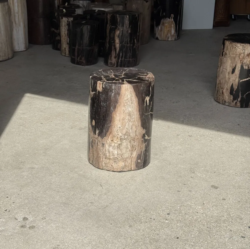 Coffee tables - Side table in black petrified wood with beige stripes fine network H35 - OFFICE OBJETS