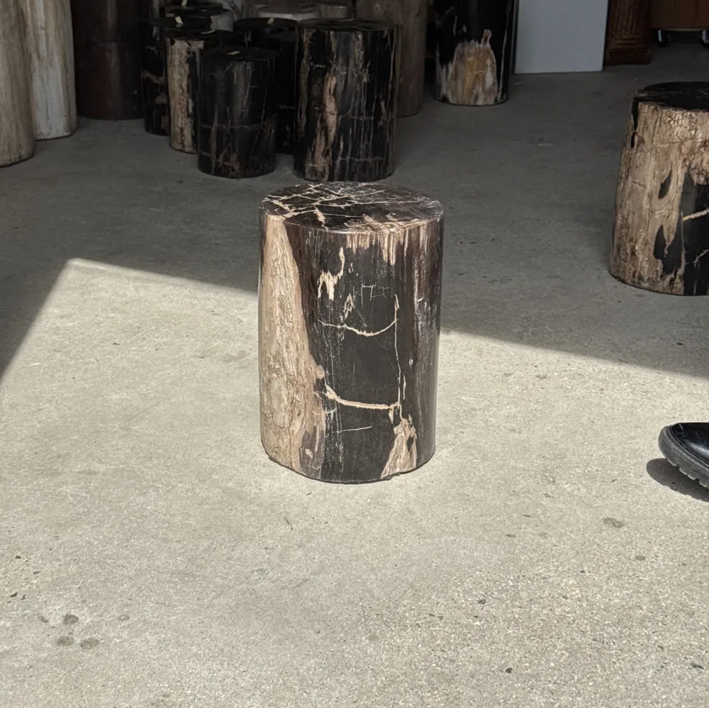 Coffee tables - Side table in black petrified wood with beige stripes fine network H35 - OFFICE OBJETS