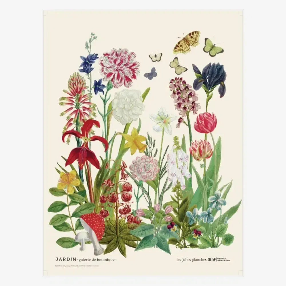 Affiches - Affiche « Jardin » – 30 x 40 cm - GALLIMARD&LES JOLIES PLANCHES