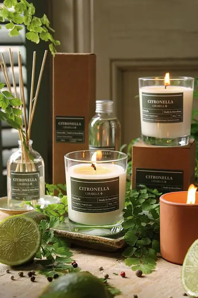 Candles - CITRONELLA INDOOR USE COLLECTION - CERABELLA SL