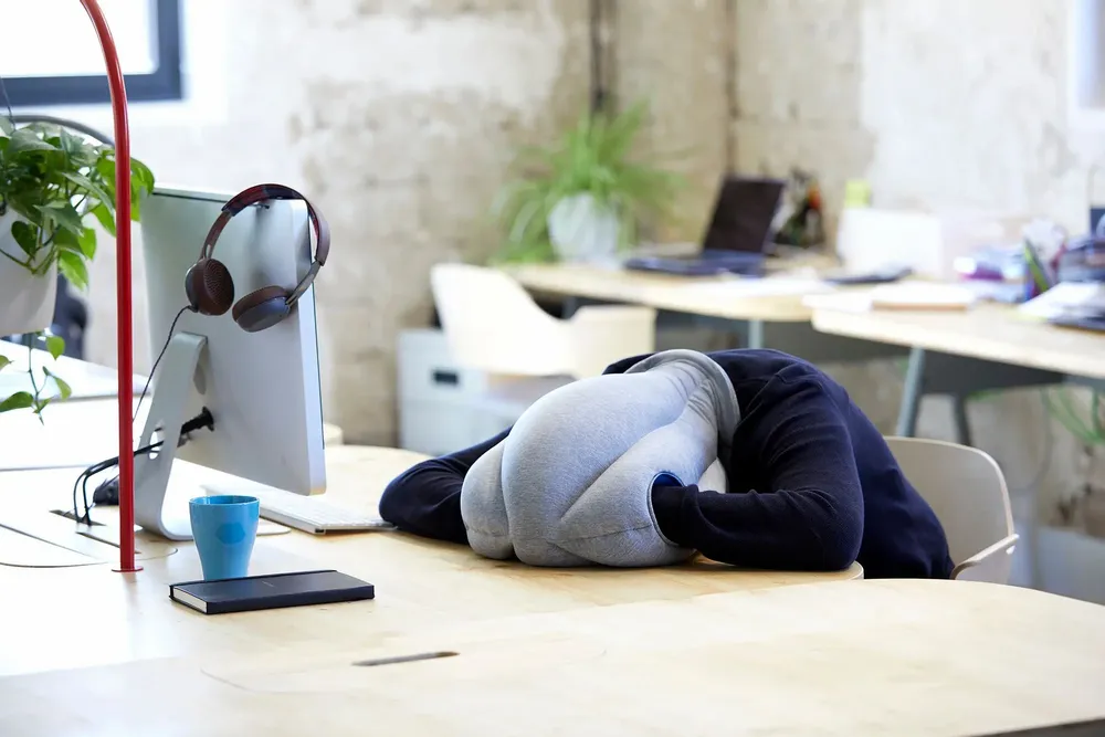 Travel accessories - Original - OSTRICHPILLOW