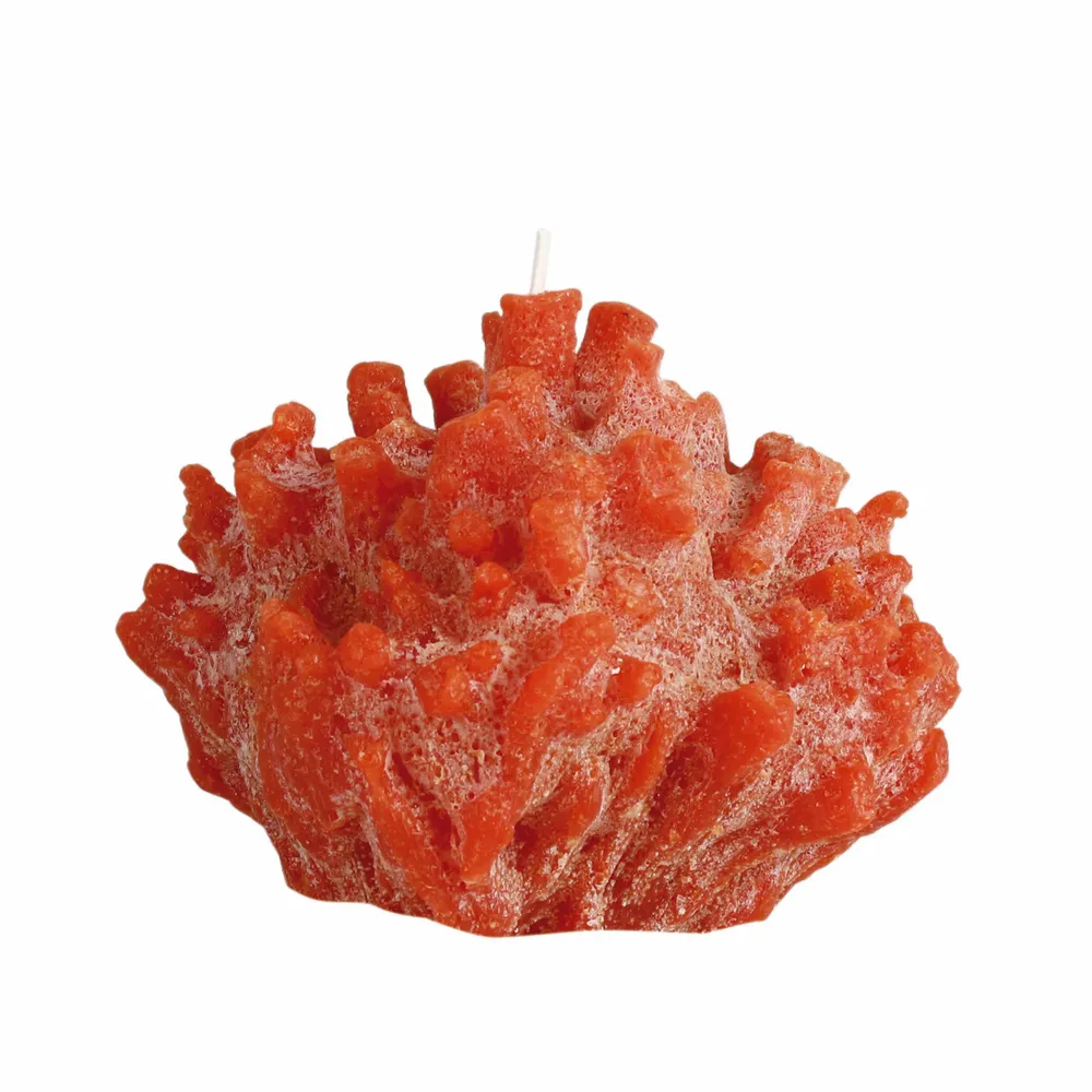 Candles - SIR LANKESTER CORAL COLLECTION - CERABELLA SL