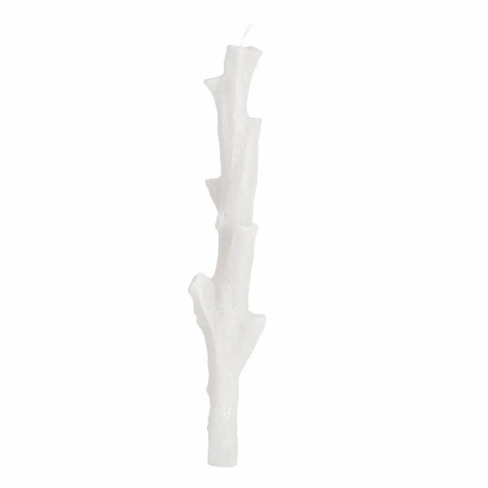Candles - SIR LANKESTER CORAL CANDLEHOLDER COLLECTION - CERABELLA SL
