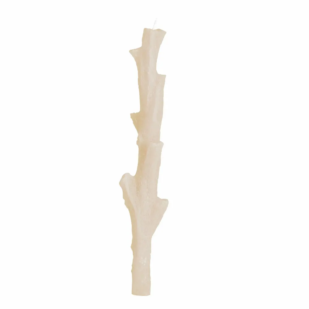 Candles - SIR LANKESTER CORAL CANDLEHOLDER COLLECTION - CERABELLA SL