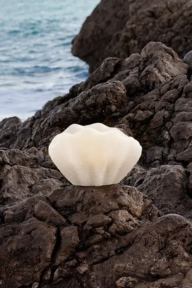 Bougies - SIR LANKESTER SHELL - CERABELLA SL