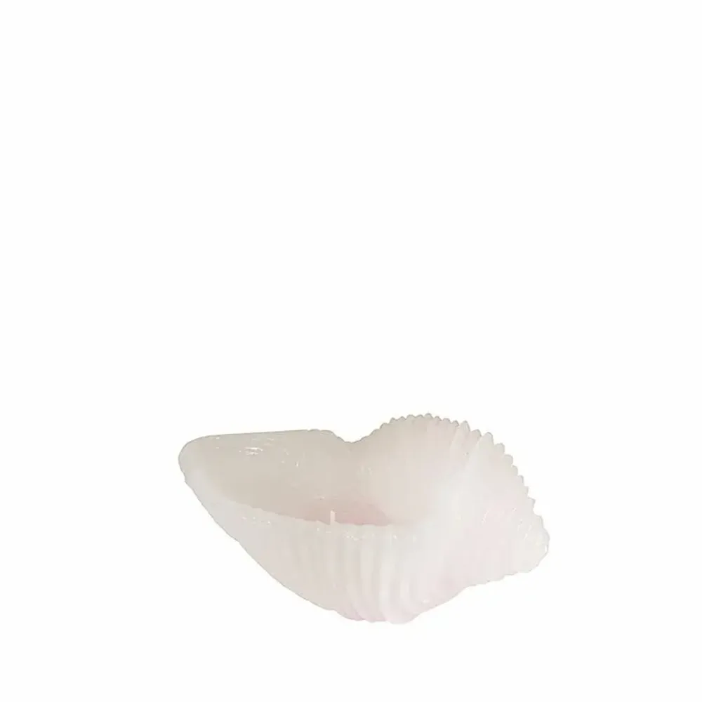 Bougies - SIR LANKESTER CARGOL S - CERABELLA SL