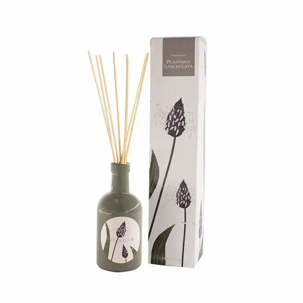 Candles - FLORA SILVESTRIS CASCALVEL PLANTAGO LANCEOLATA COLLECTION - CERABELLA SL