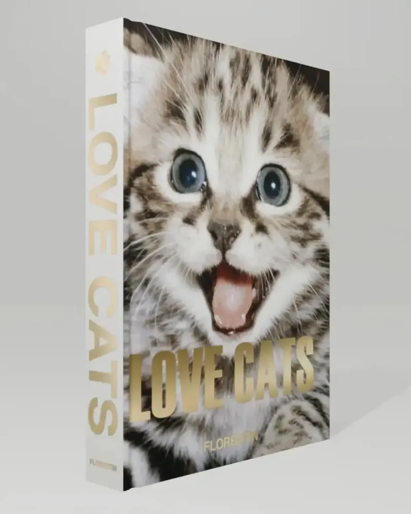 Objets de décoration - Love cats - EDITIONS FLORENTIN