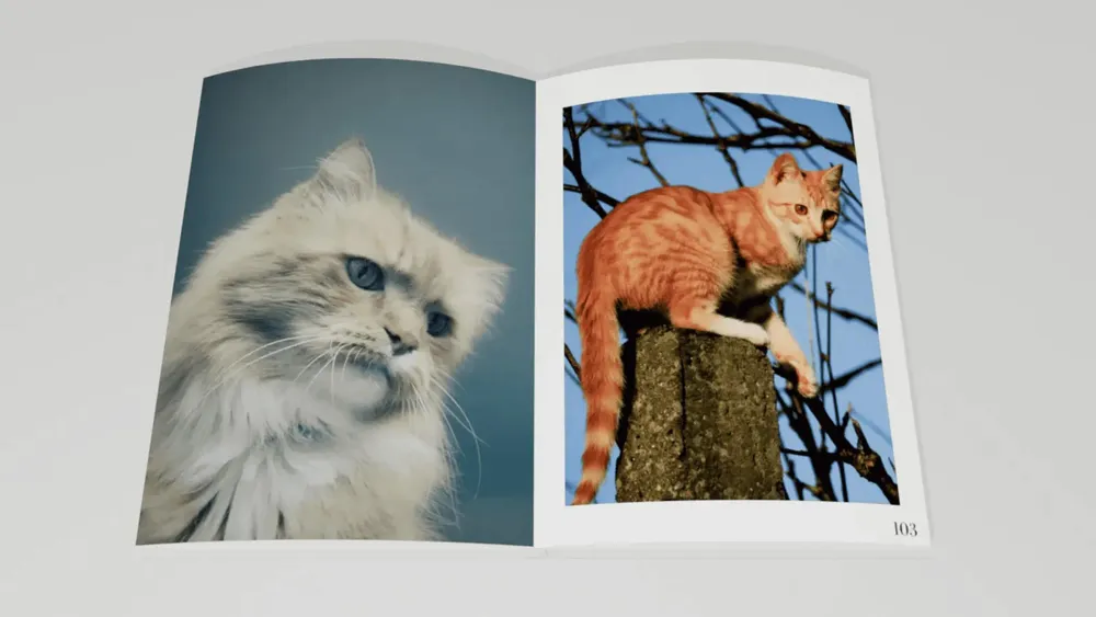 Objets de décoration - Love cats - EDITIONS FLORENTIN