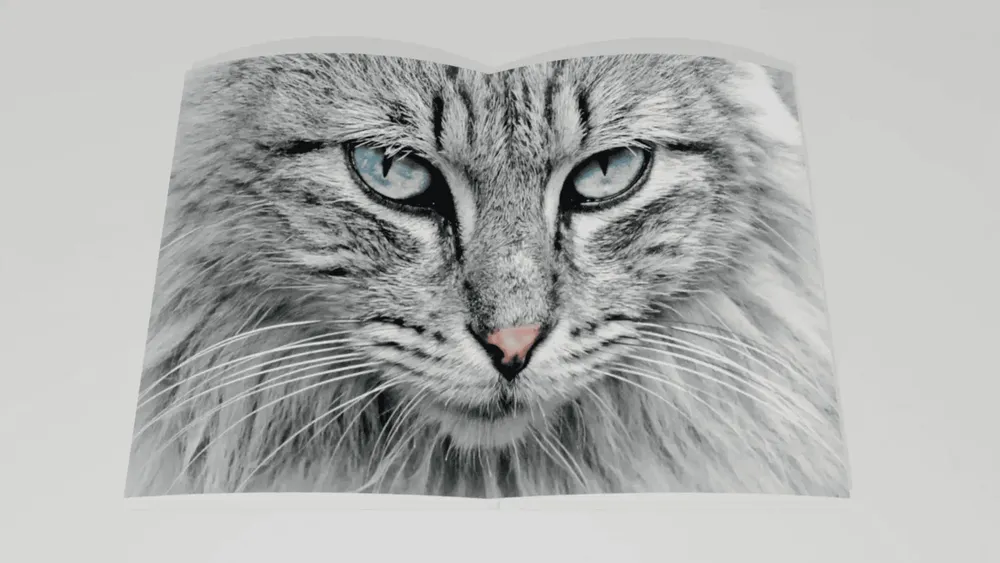 Objets de décoration - Love cats - EDITIONS FLORENTIN