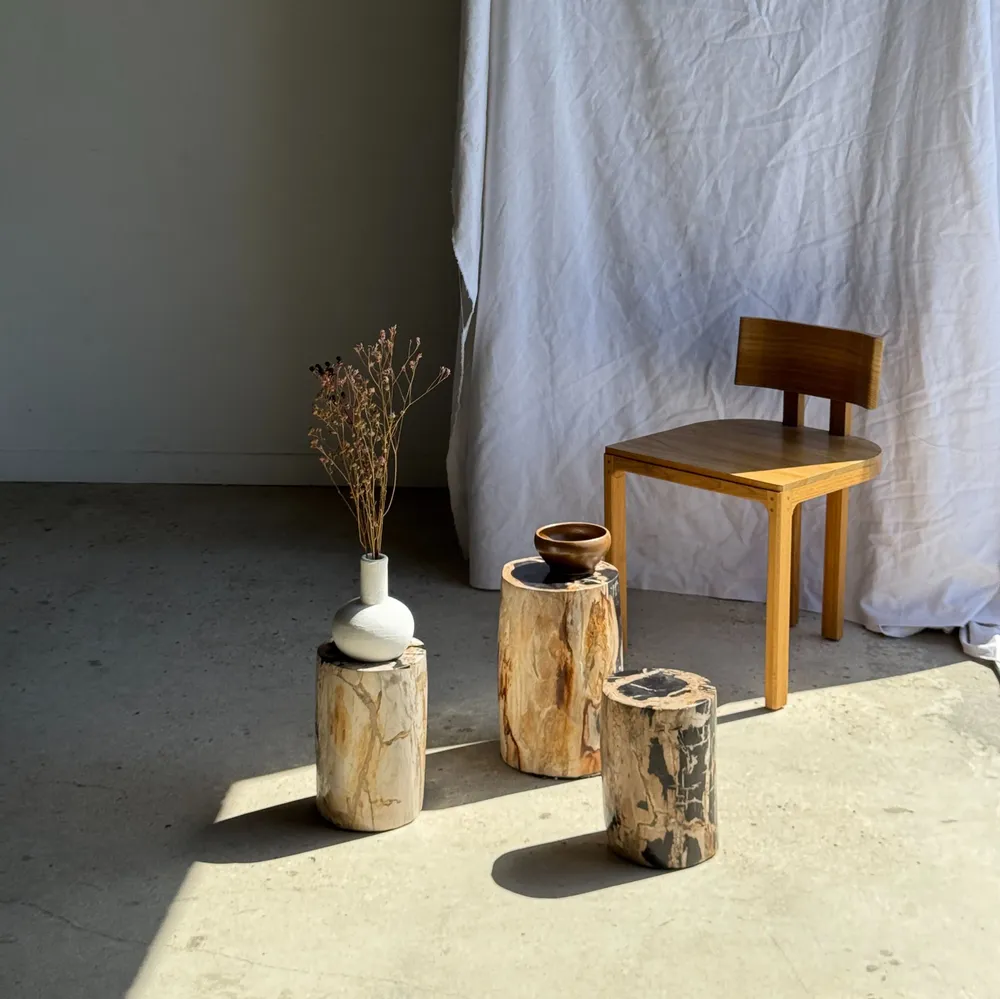 Stools - Petrified wood side table black heart beige bark H35 D22 - 333 - OFFICE OBJETS