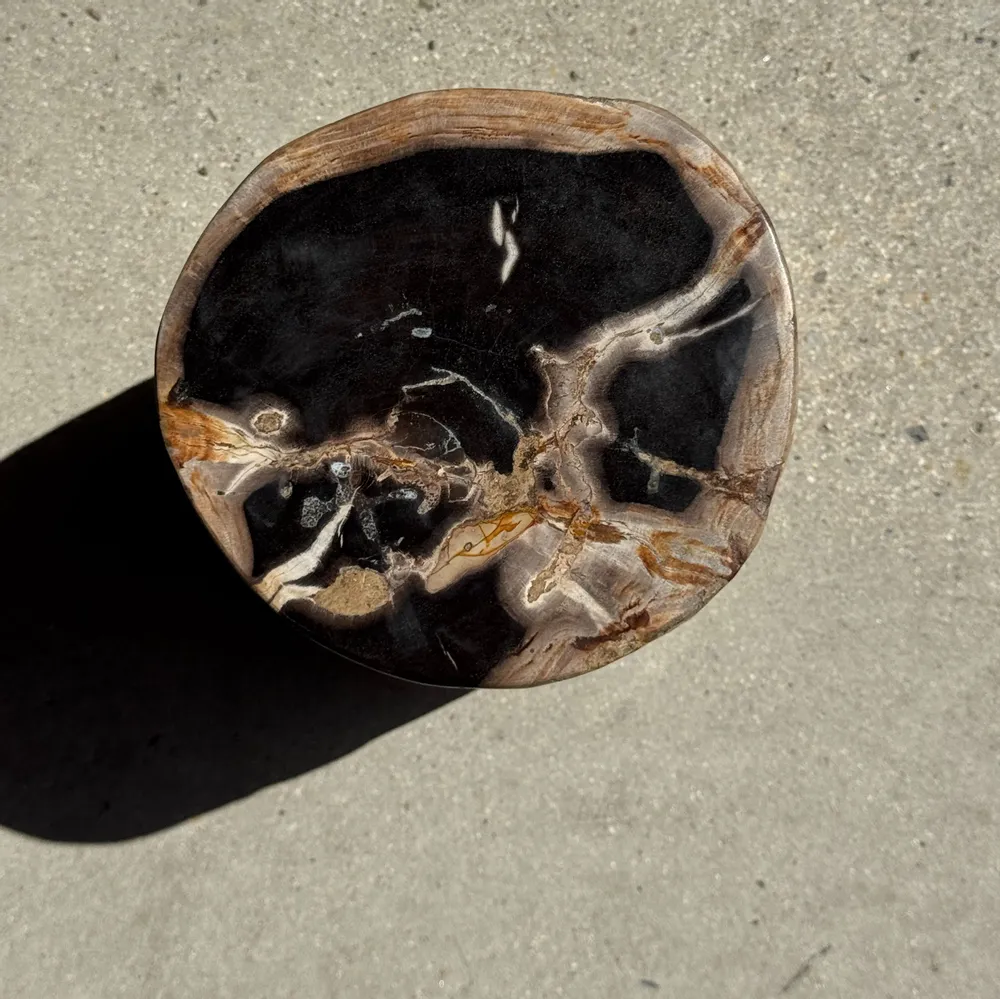 Stools - Petrified wood side table black heart beige bark H35 D22 - 333 - OFFICE OBJETS