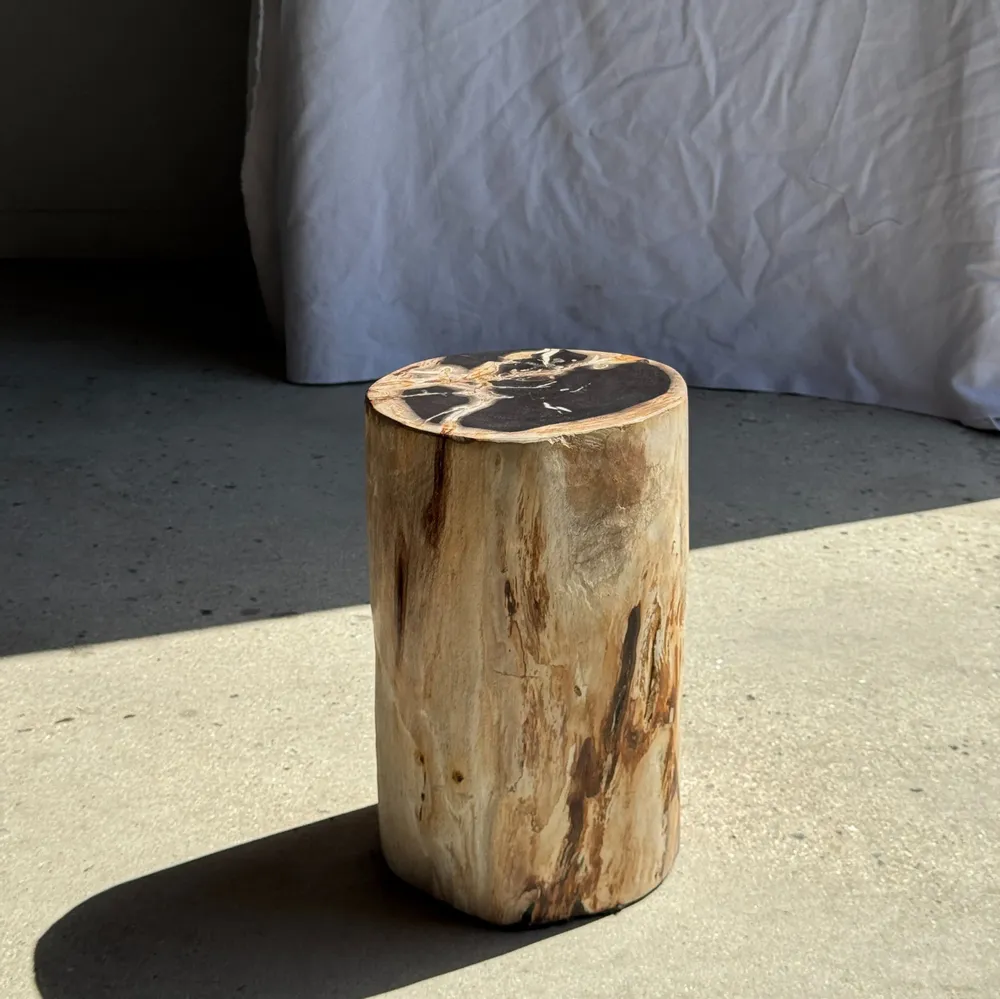 Stools - Petrified wood side table black heart beige bark H35 D22 - 333 - OFFICE OBJETS