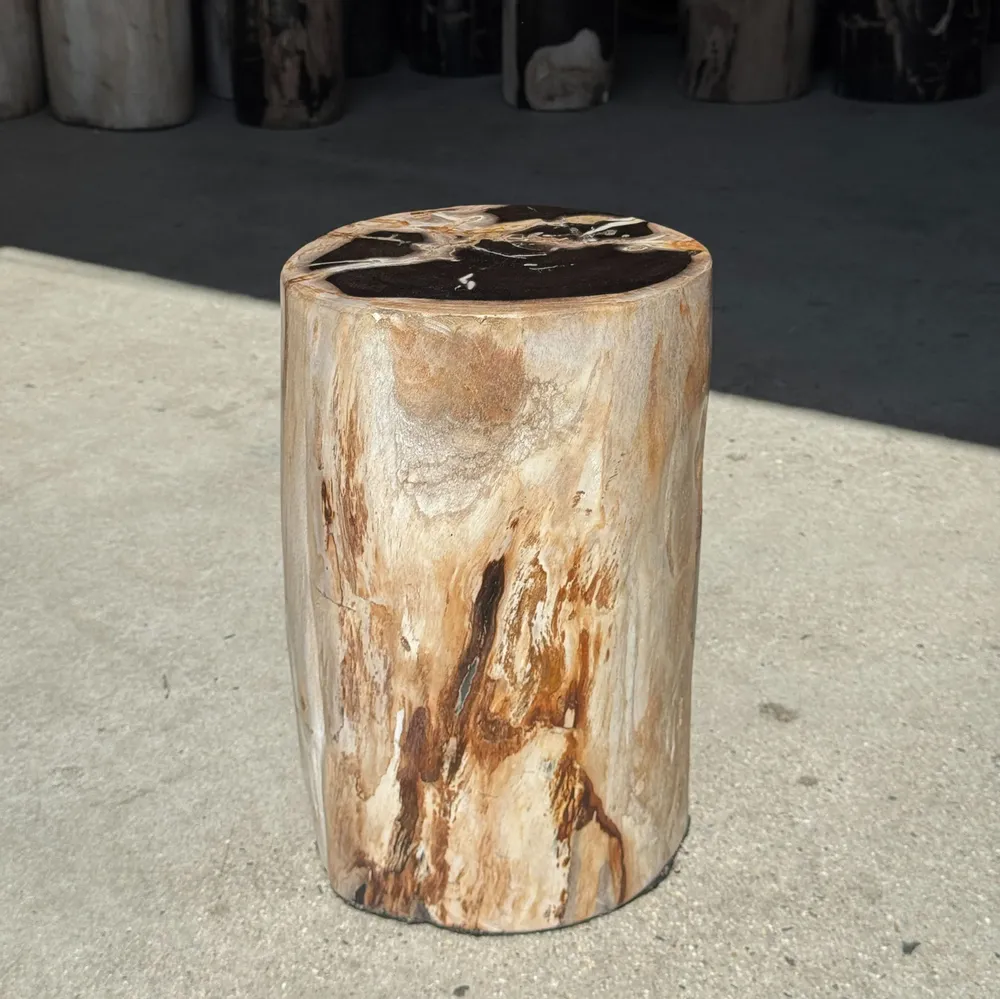 Stools - Petrified wood side table black heart beige bark H35 D22 - 333 - OFFICE OBJETS