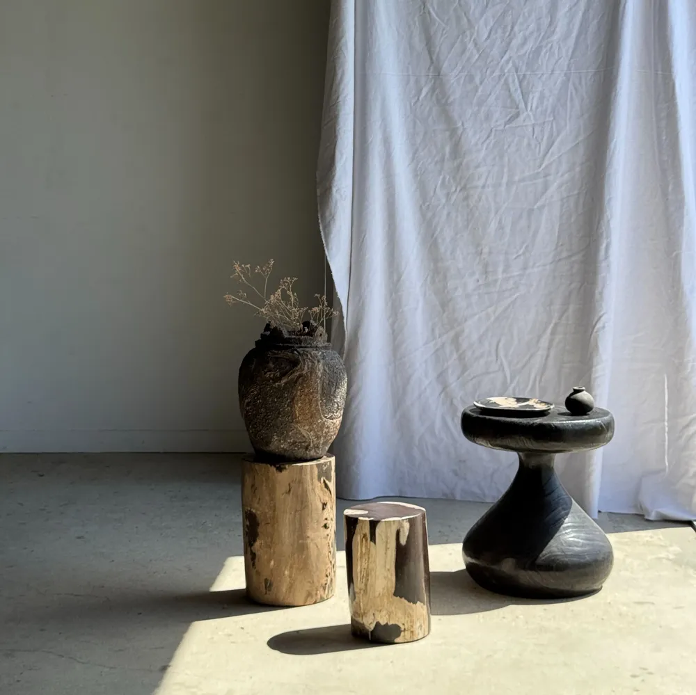 Other tables - Brown and black petrified wood side table H35 D27 - 3333 - OFFICE OBJETS