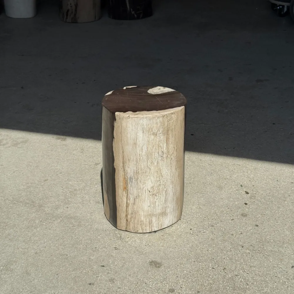Autres tables  - Petite table d'appoint en bois pétrifié noir et blanc H28 D18 - OFFICE OBJETS
