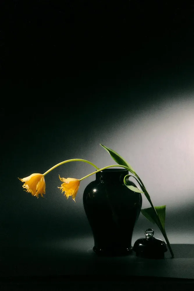 Vases - Black Pearl - PRISAKARU CERAMICS