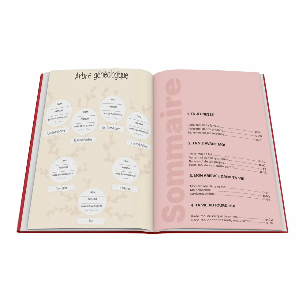 Gifts - Mom, Tell Me Everything Gift Book - 2026 Edition - DIS-MOI TOUT