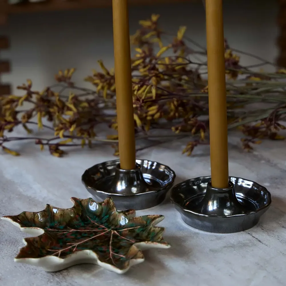 Assiettes au quotidien - Forest - COSTA NOVA