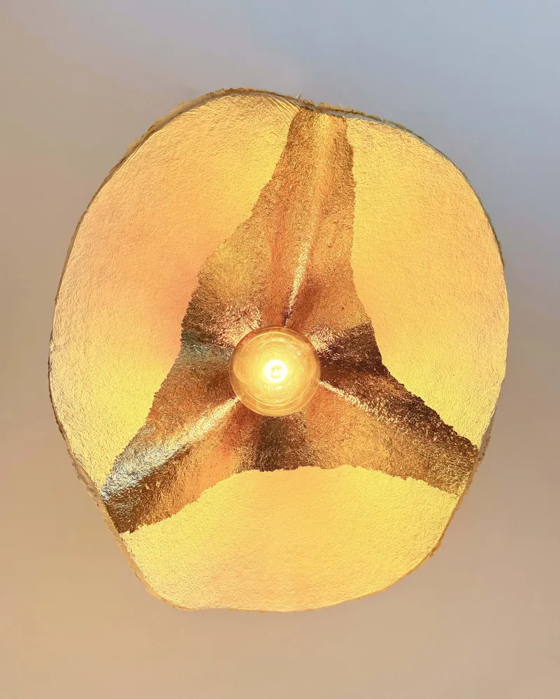 Ceiling lights - Chapeau Cultivating Light - MYCEODESIGN