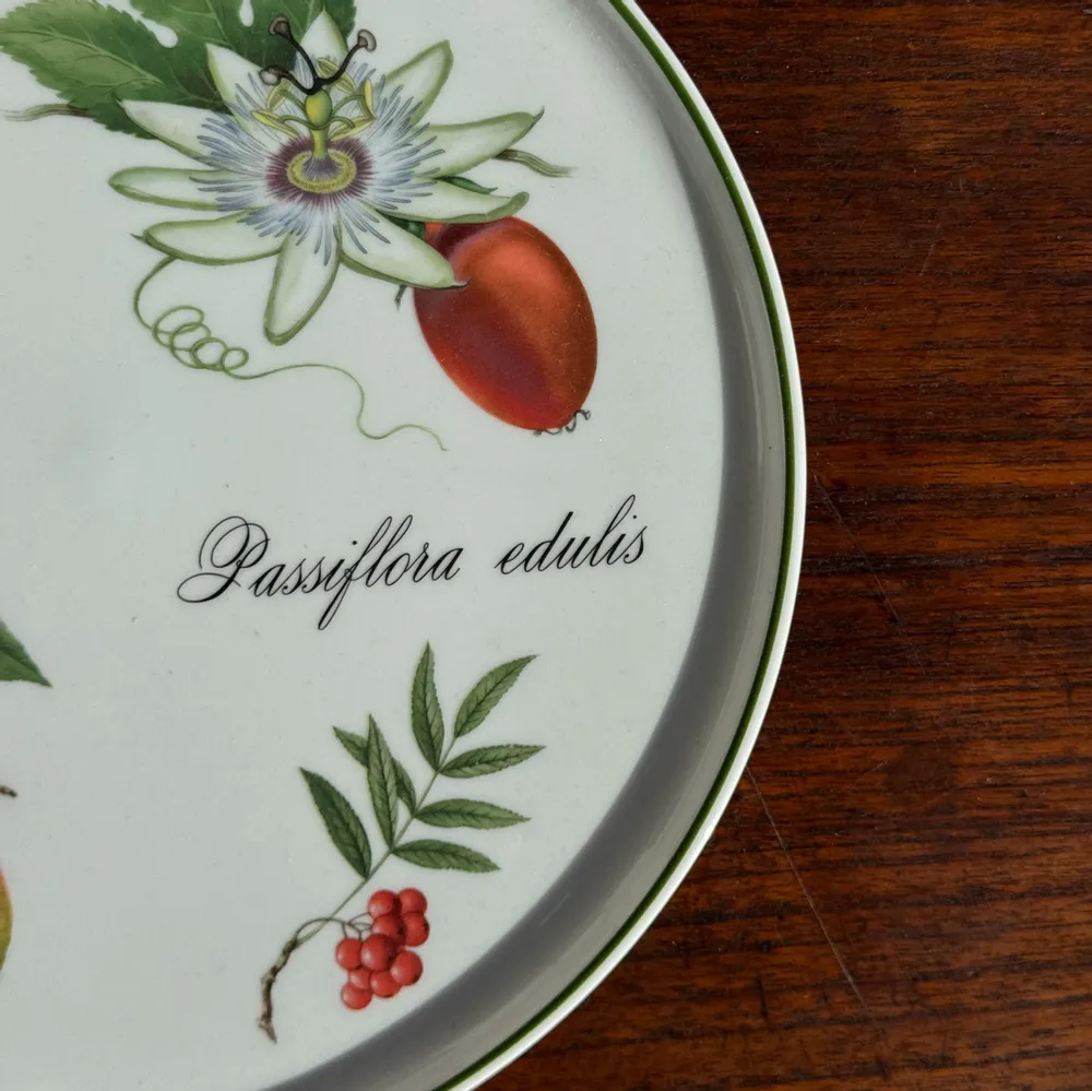 Plats et saladiers - Plat circulaire Elysian Garden Porcelaine Apilco France Ronald D30 - OFFICE OBJETS