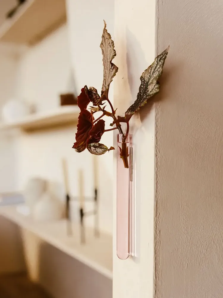 Vases - Soliflore (1 pièce) - WALLEAF