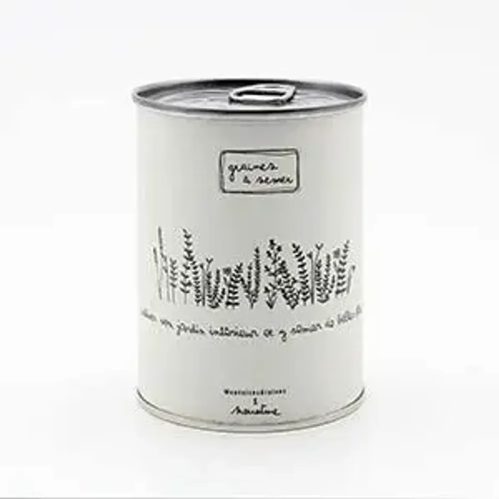 Objets de décoration - Kit à semer "Jardin Intérieur" - MAUVAISES GRAINES