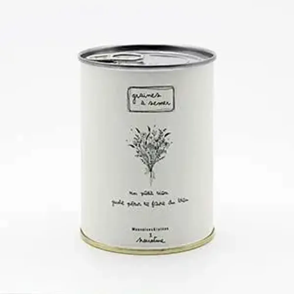 Objets de décoration - Kit à semer "Un petit rien" - MAUVAISES GRAINES