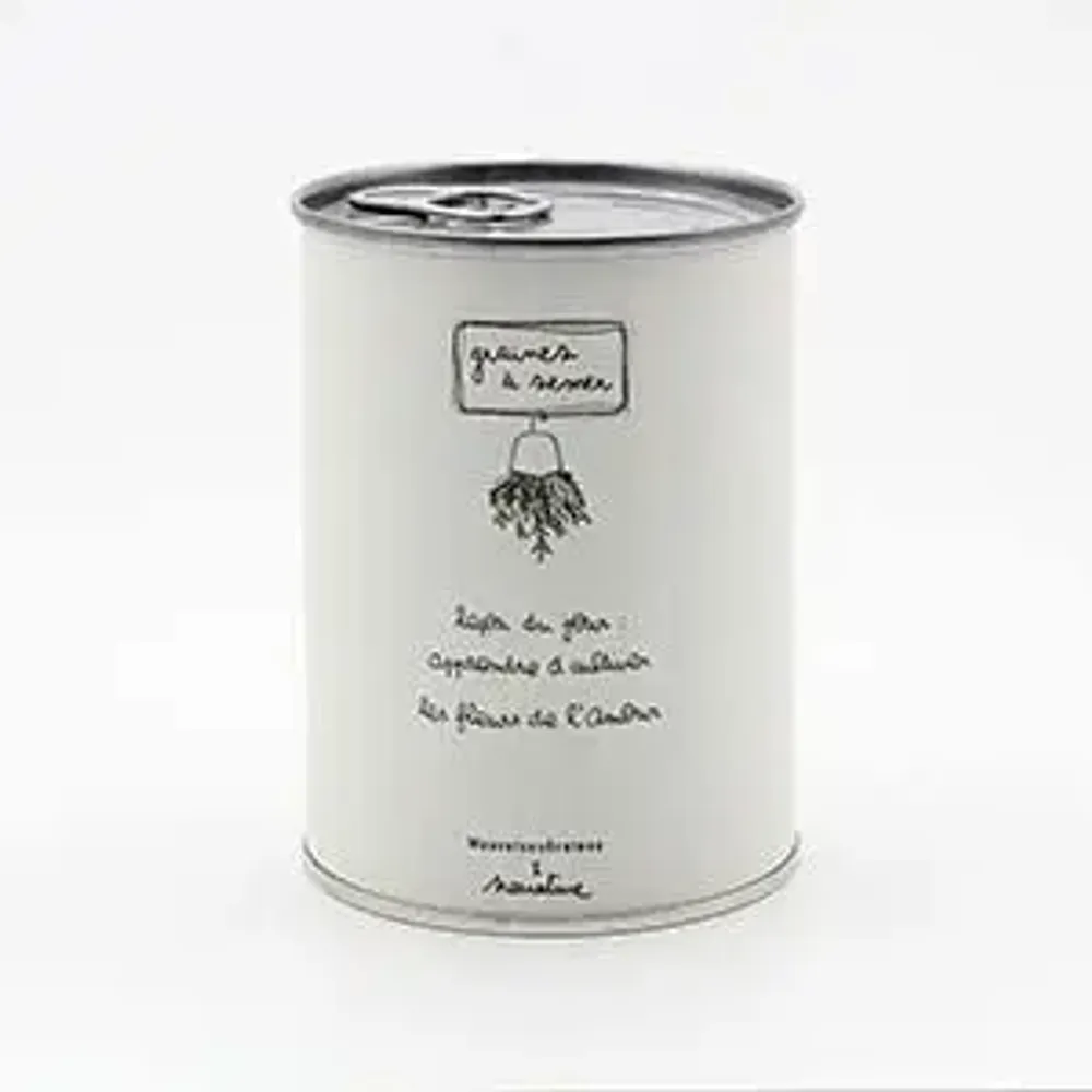 Objets de décoration - Kit à semer "Leçon du jour" - MAUVAISES GRAINES