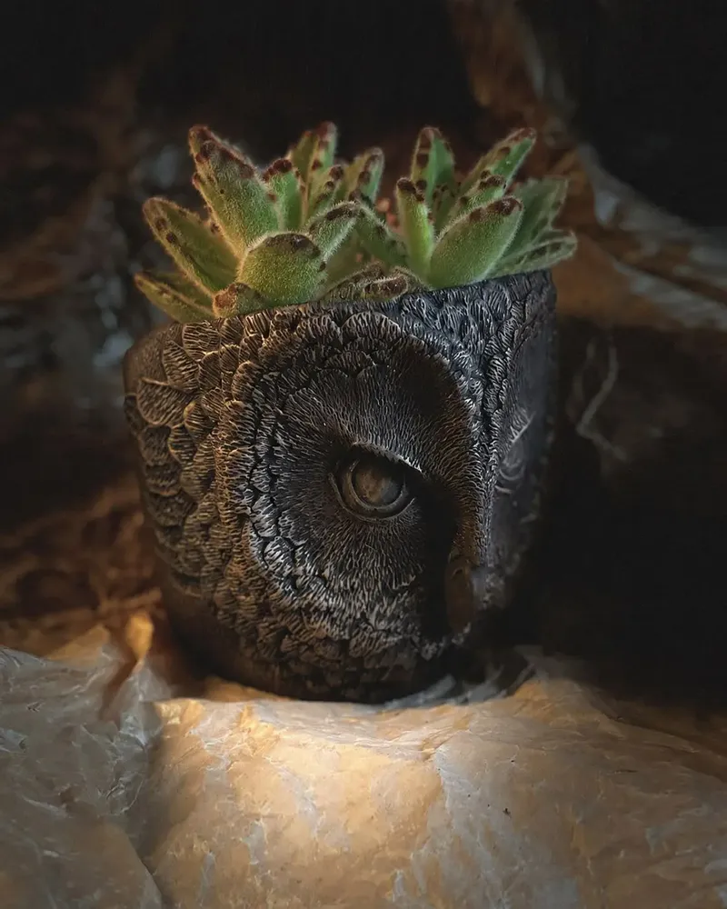 Trays - OWL - wall and table decor - DABA DECO