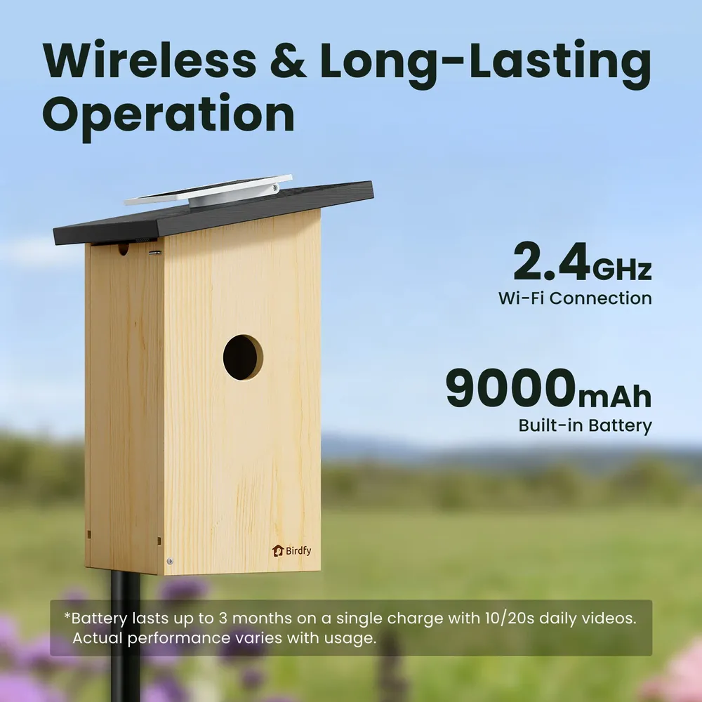 Garden accessories - Birdfy House Ebony - BIRDFY