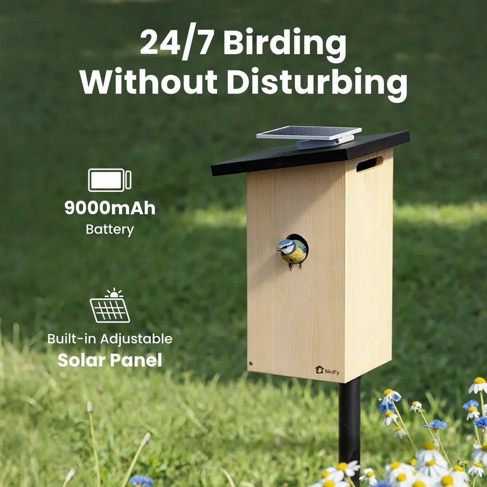 Garden accessories - Birdfy House Ebony - BIRDFY