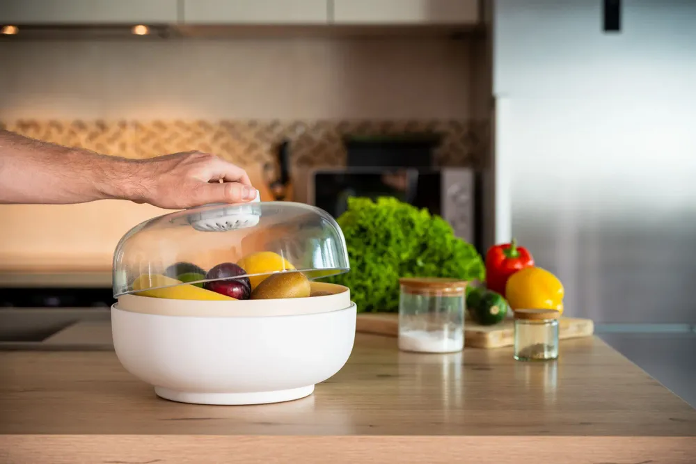 Bowls - Vitesy Fruit Bowl - VITESY