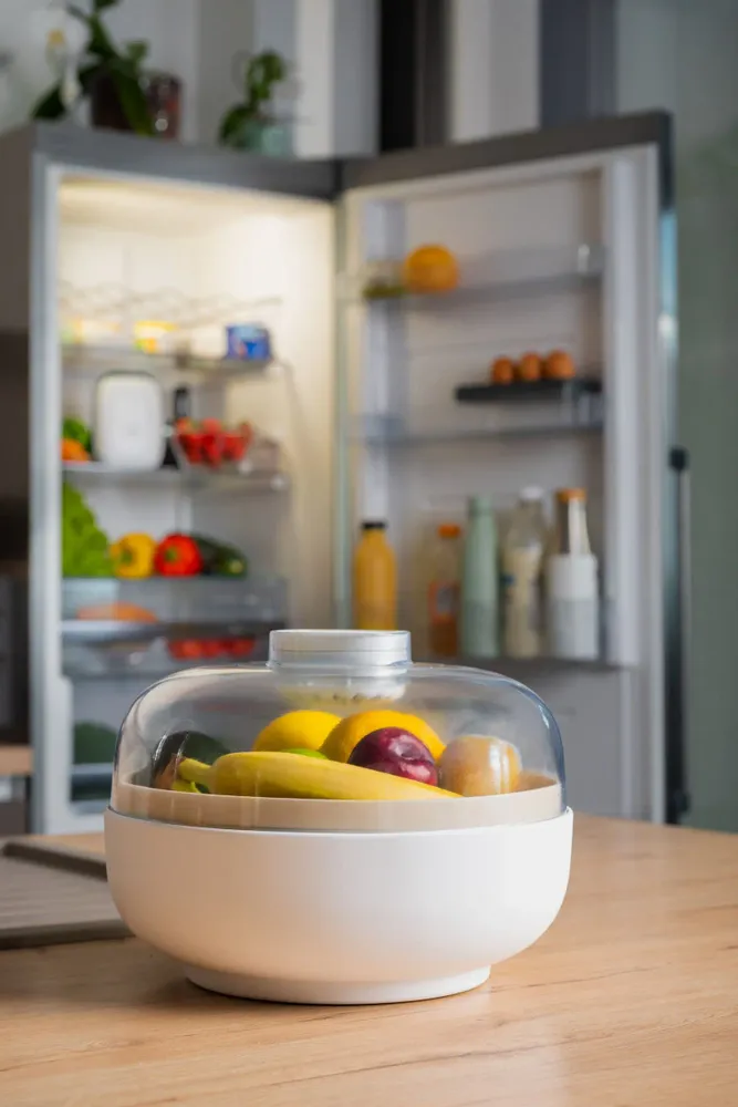Bowls - Vitesy Fruit Bowl - VITESY