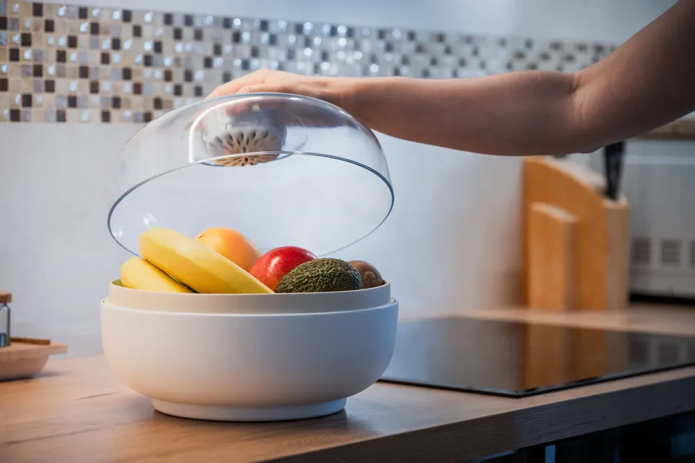 Bowls - Vitesy Fruit Bowl - VITESY