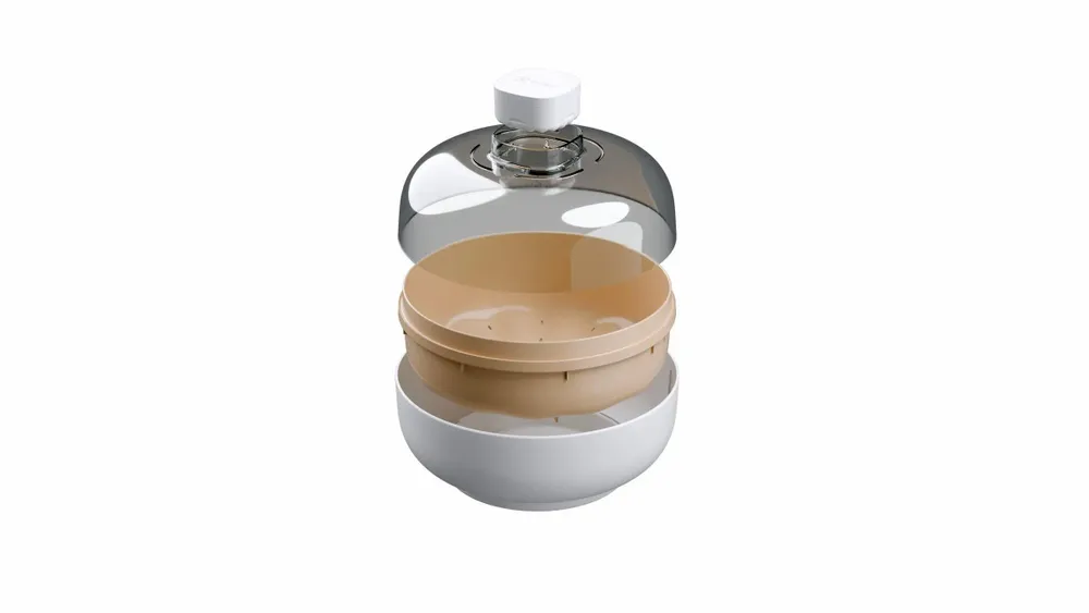 Bowls - Vitesy Fruit Bowl - VITESY