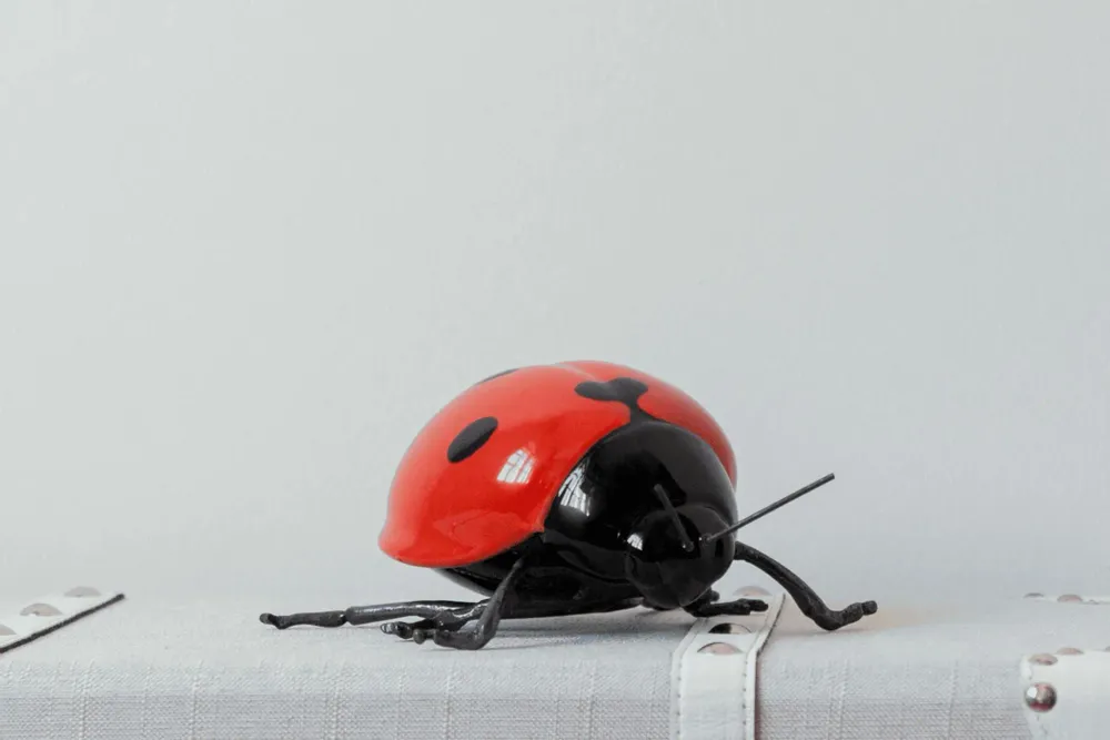 Objets design - Décoratif, Céramique - Coccinelle, voler, voler - LABORATÓRIO D'ESTÓRIAS