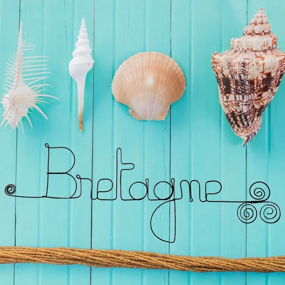 Other wall decoration - Wire Wall Decoration\" Brittany\” - to pin - BIJOUX DE MUR