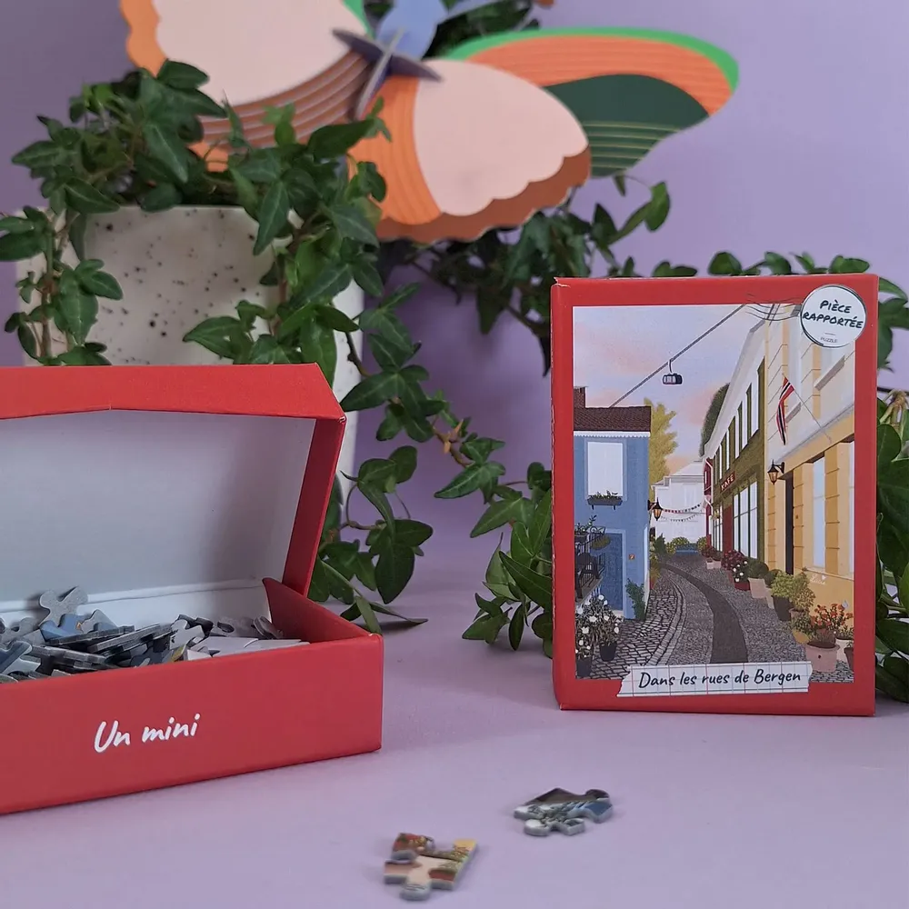 Cadeaux - Pack 3 mini puzzles Echappée en Norvège - PIÈCE RAPPORTÉE