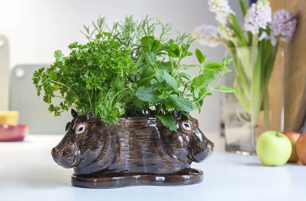Food storage - Tri Planter - QUAIL DESIGNS EUROPE BV