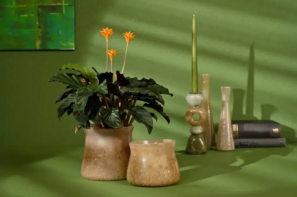 Vases - VERRERIE - RASTELI - BELGIUM