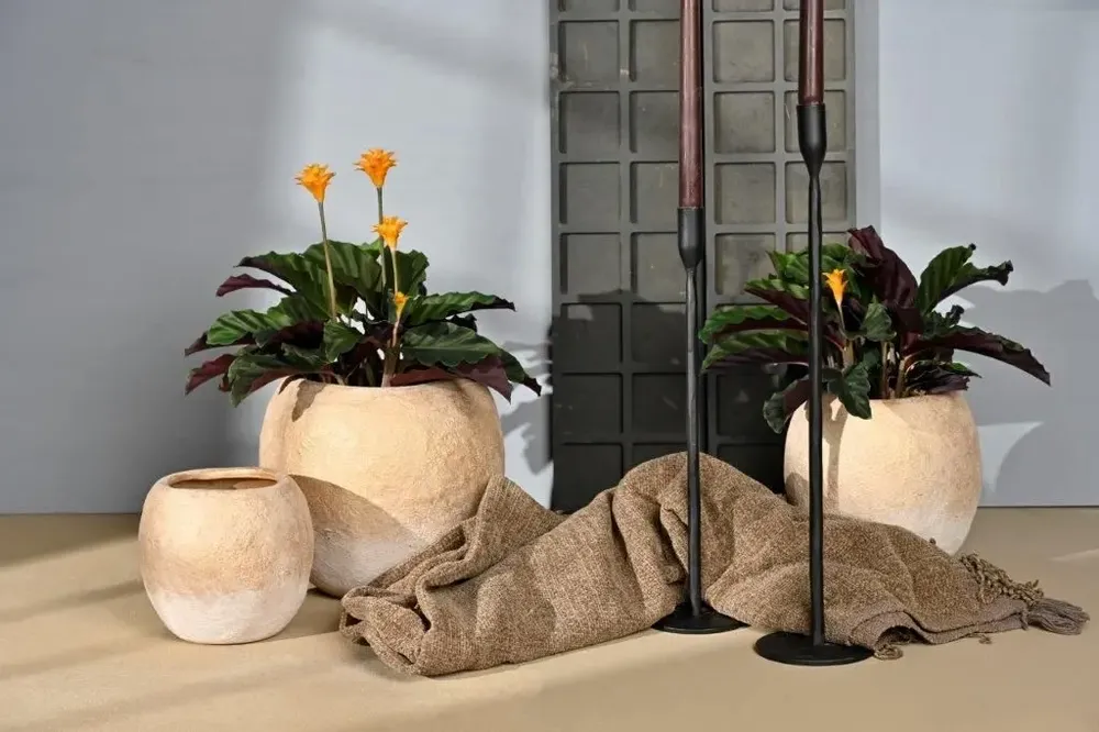 Poterie - POTERIE POUR FLEURISTE - RASTELI - BELGIUM