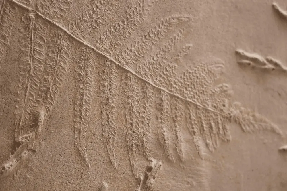 Decorative wall frescoes - Footprints, Pteridium aquilinum and Carpinus betulus - ATELIER MATHILDE FAUCARD