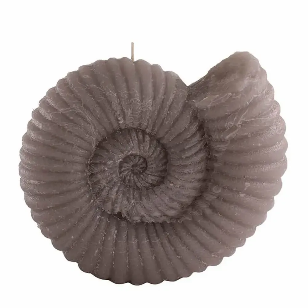 Candles - AMMONITE CANLDES COLLECTION - CERABELLA SL