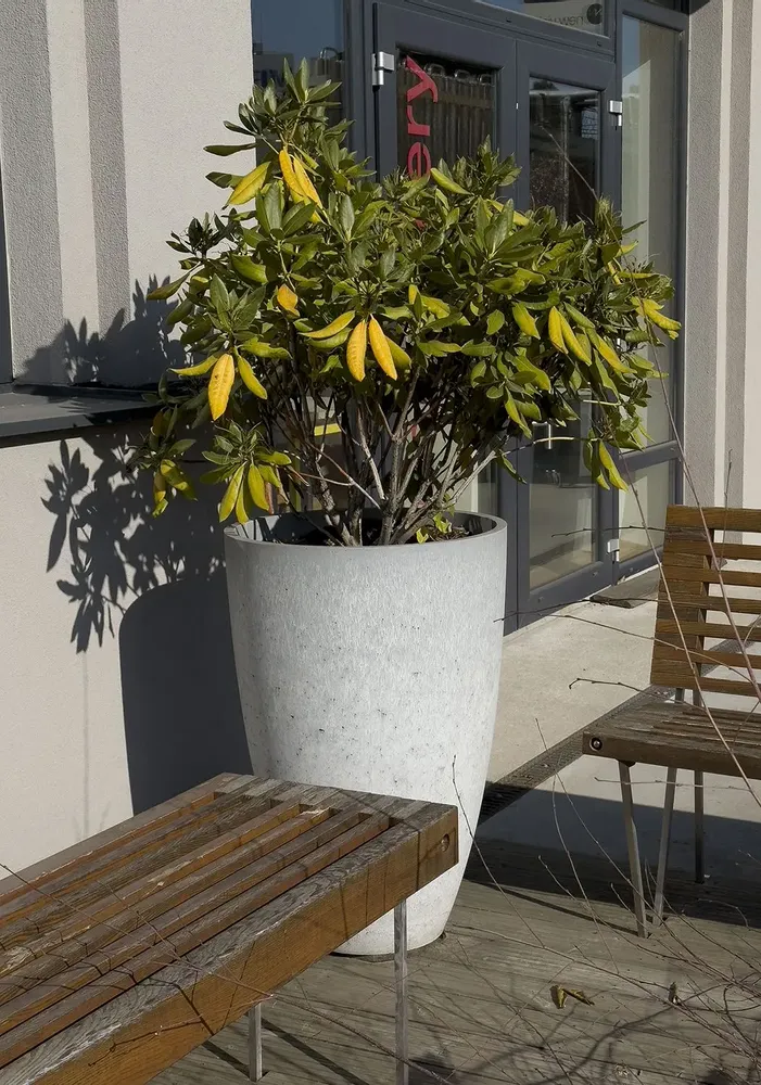 Vases - Classic L - BETONI ART