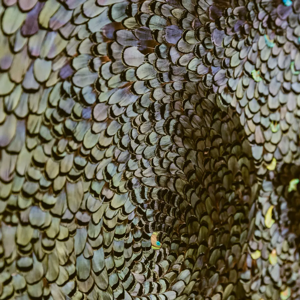 Pièces uniques - Oeuvre murale en plumes - AMANDINE BONNEAU