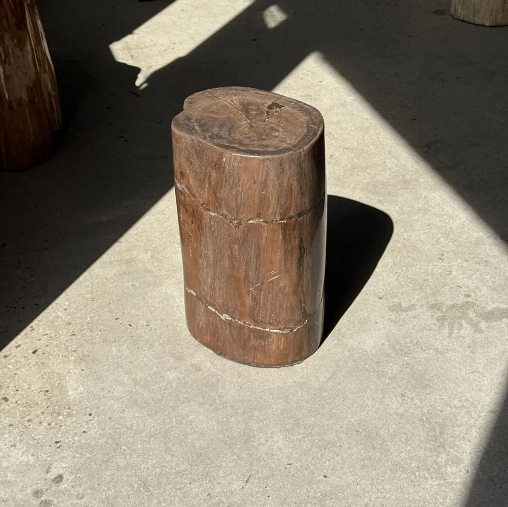 Coffee tables - Brown petrified wood side table H46 D29 - 3338 - OFFICE OBJETS