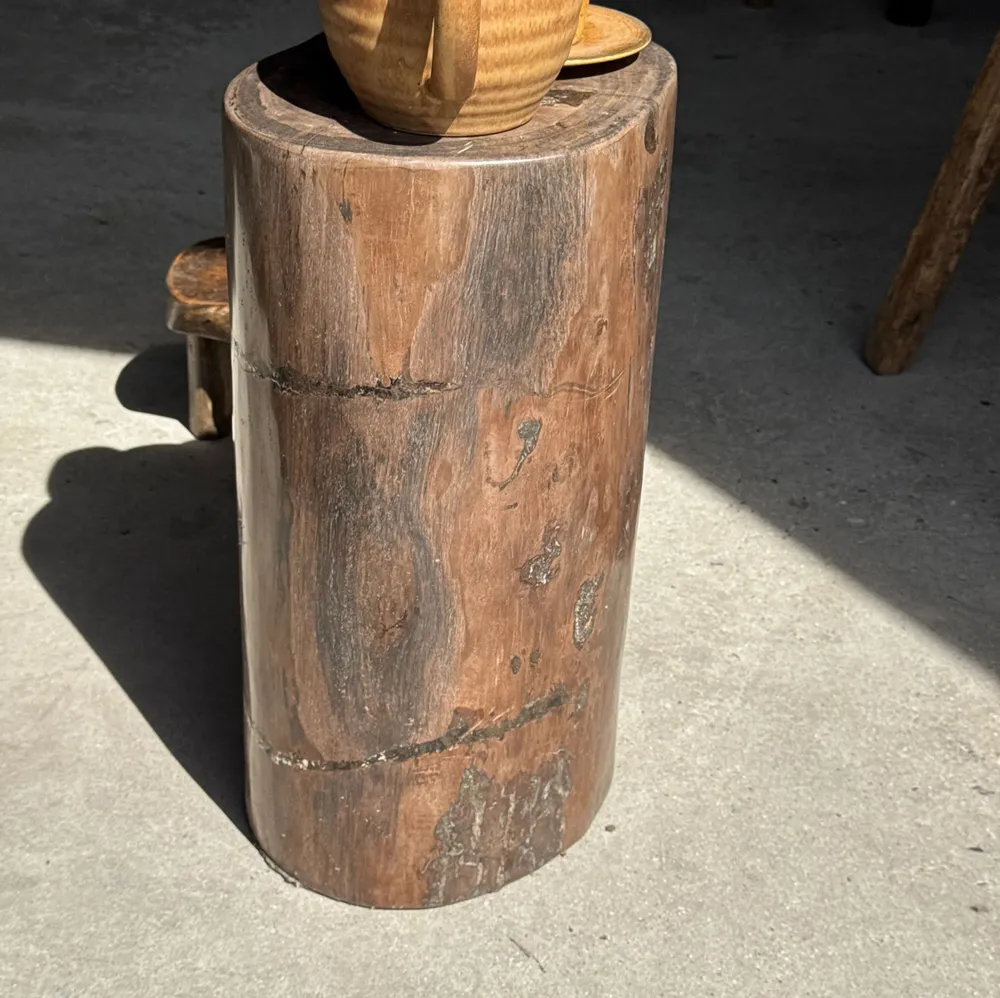 Coffee tables - Brown petrified wood side table H46 D29 - 3338 - OFFICE OBJETS